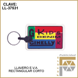 LLaveros de Plastico